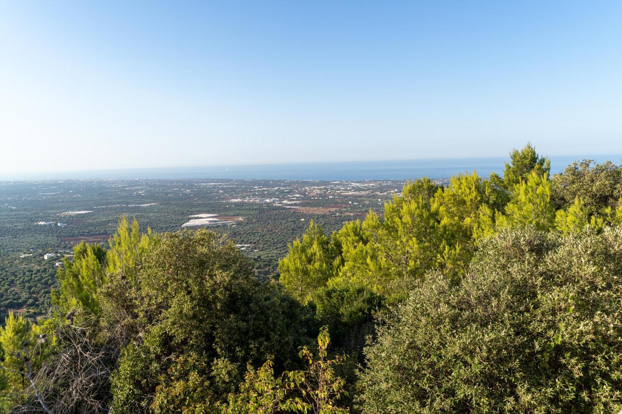 Villa Bagorda Selva Di Fasano Buitenkant foto