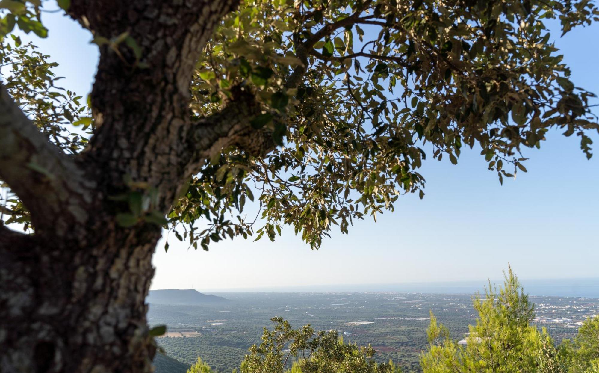 Villa Bagorda Selva Di Fasano Buitenkant foto